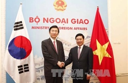 Khuyến khích doanh nghiệp Hàn Quốc tăng cường đầu tư vào Việt Nam